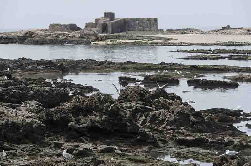 225 - Marruecos - Essaouira - antiguo fuerte portugues